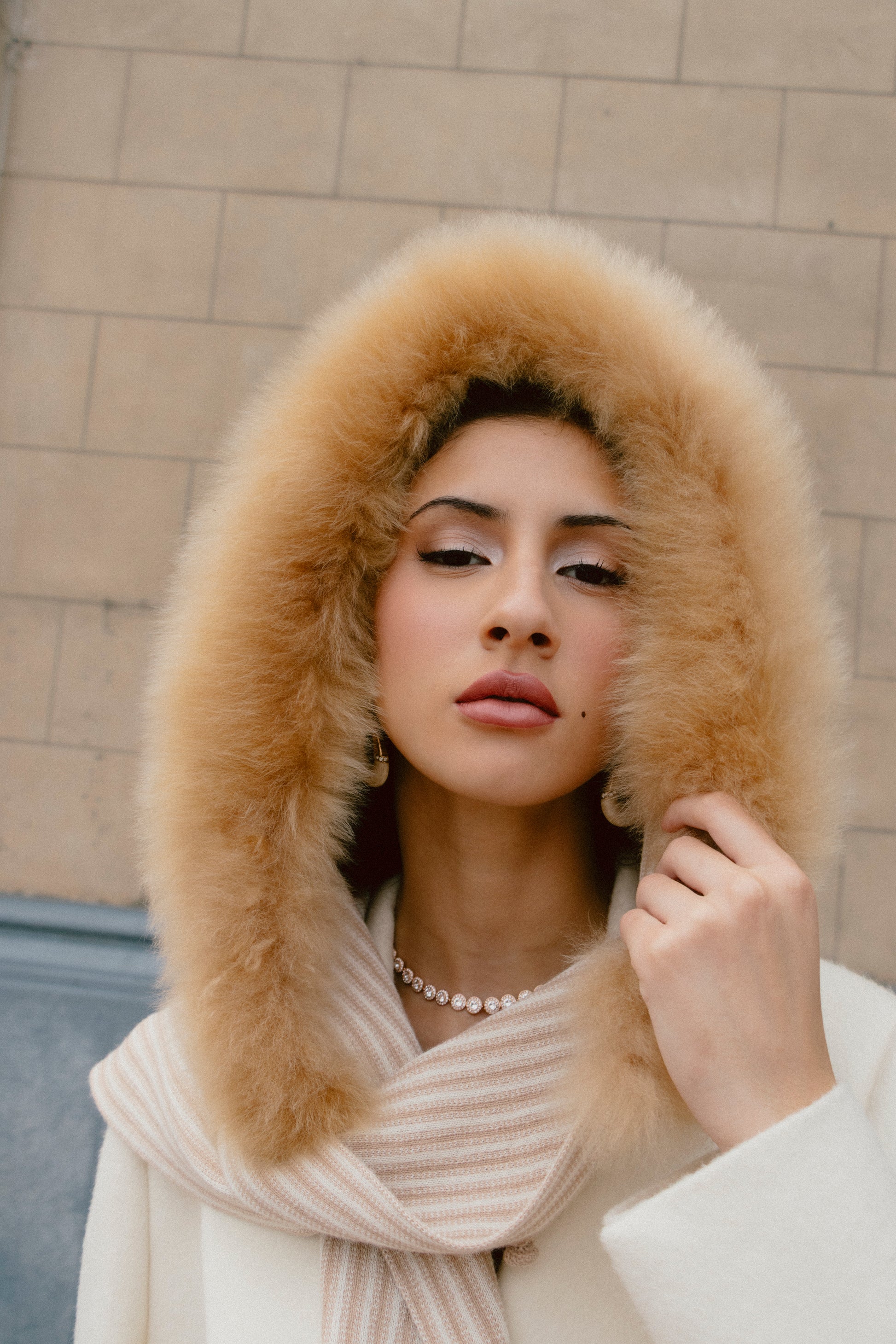 Scarf with Fur | Rosette